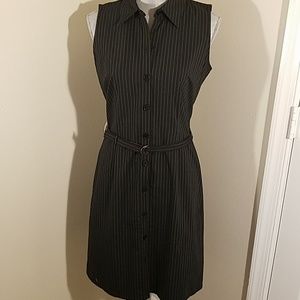 Ann Taylor pinstriped belted dress NWOT sz 10P